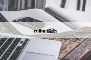ruihu/瑞虎9