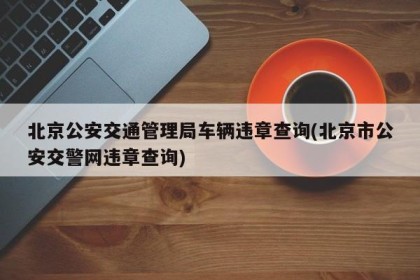 北京公安交通管理局车辆违章查询(北京市公安交警网违章查询)