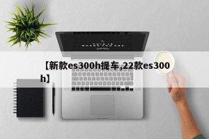 【新款es300h提车,22款es300h】