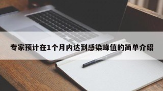 专家预计在1个月内达到感染峰值的简单介绍