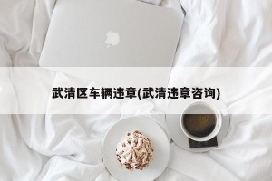 武清区车辆违章(武清违章咨询)